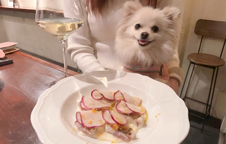 鮮魚のカルパッチョとゆめちゃん