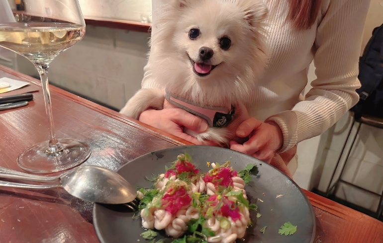 白子のヴァポーレ 魚蛋とヴィネグレットソースとゆめちゃん
