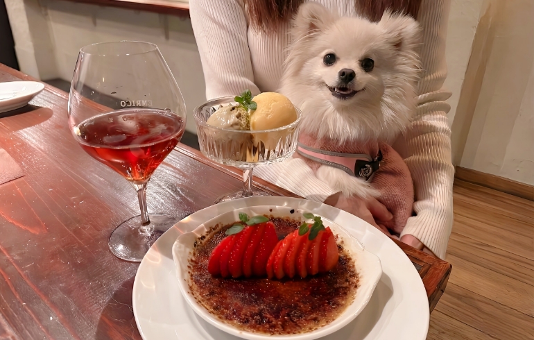 ワインとデザート各種とゆめちゃん