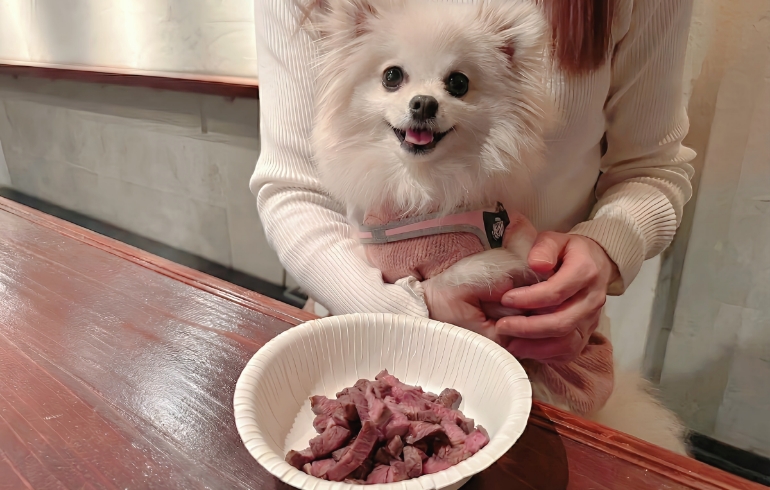 ワンちゃん用のご飯