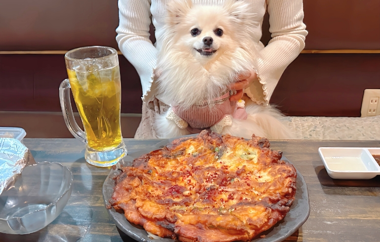 特製のチヂミ