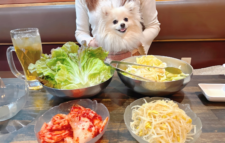 野菜各種とゆめちゃん