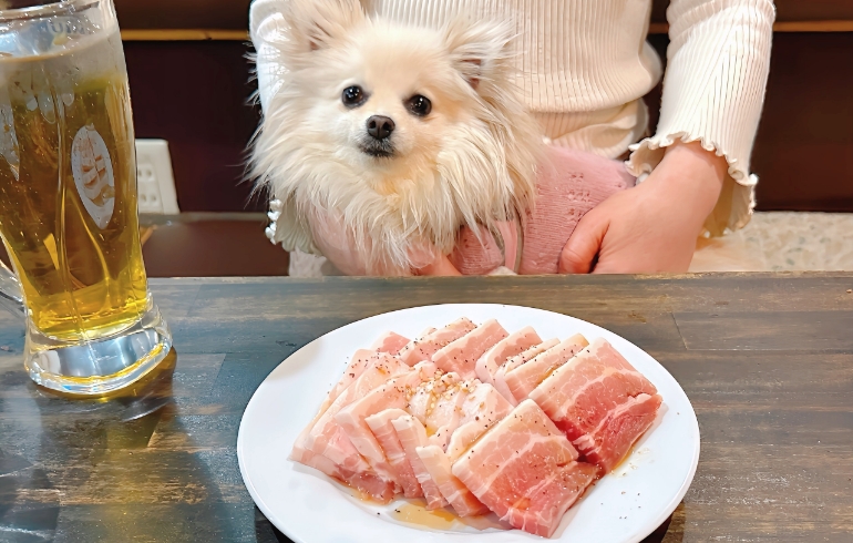 サムギョプサルのお肉とゆめちゃん
