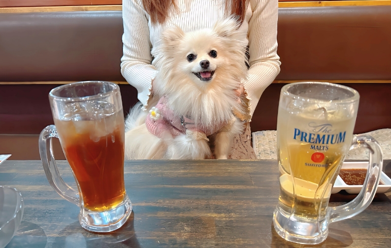 ドリンク各種とゆめちゃん