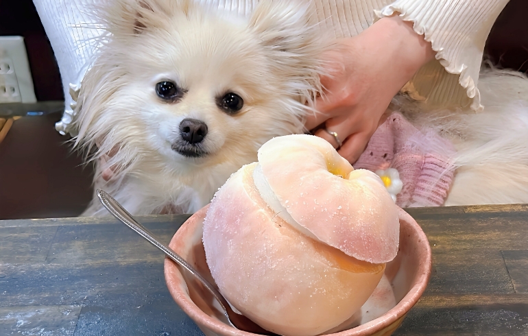 デザートとゆめちゃん