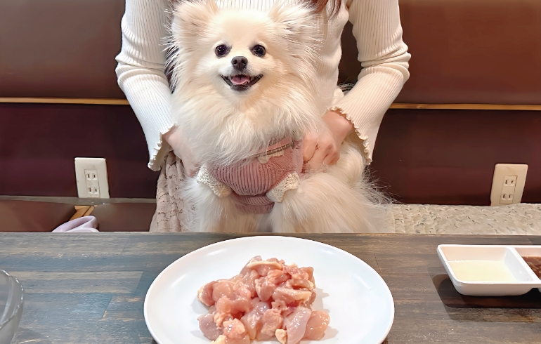 犬用鶏軟骨とゆめちゃん