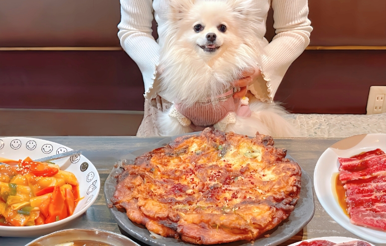 本場韓国料理各種とゆめちゃん