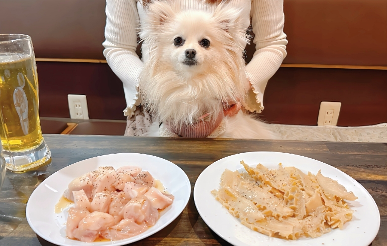 ゆめちゃんとモルモン各種