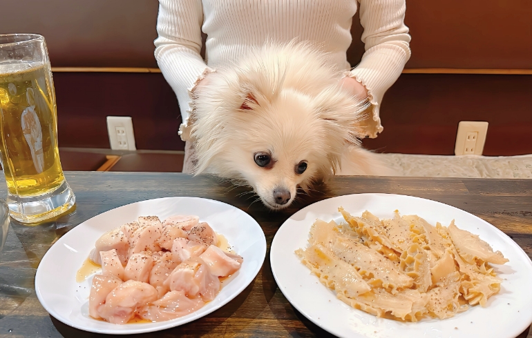 ゆめちゃん（お肉臭い中）とモルモン各種