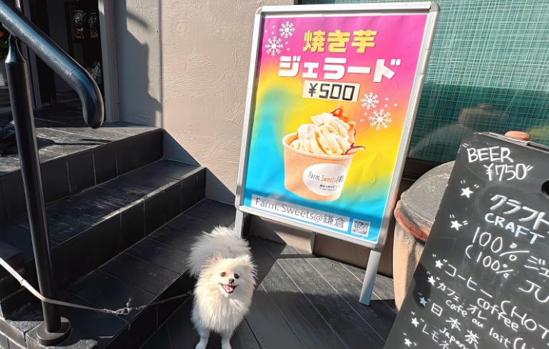 焼き芋ジェラート案内とゆめちゃん