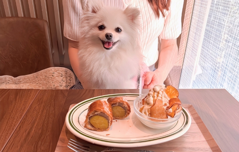 丸ごと焼き芋パイとゆめちゃん