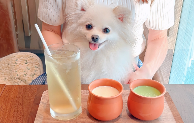 有機安納芋プリンと安納芋抹茶プリンとゆめちゃん