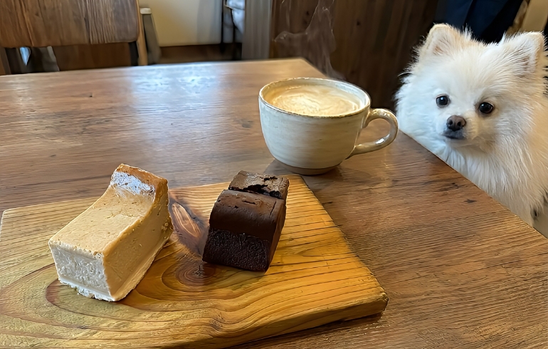 自家製ケーキとゆめちゃん3