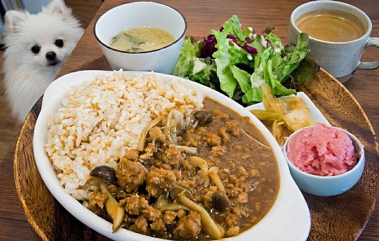 ランチセット