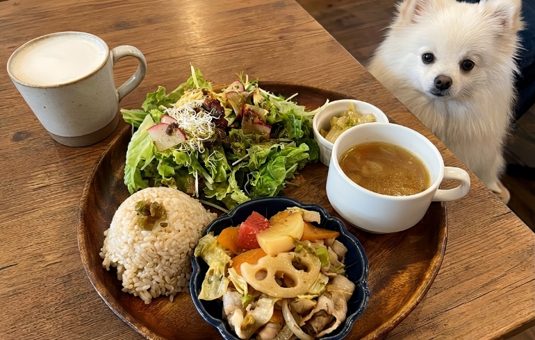 ランチセットとゆめちゃん1