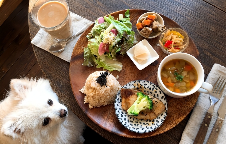 ランチセットとゆめちゃん2