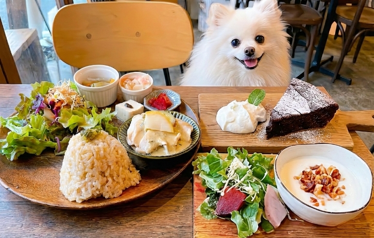 モーニングとゆめちゃん