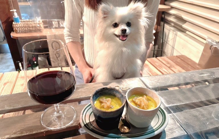 新玉ねぎのパンナコッタとゆめちゃん