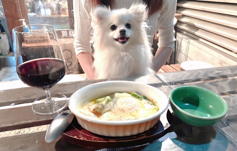 アスパラと卵のオーブン焼きとゆめちゃん
