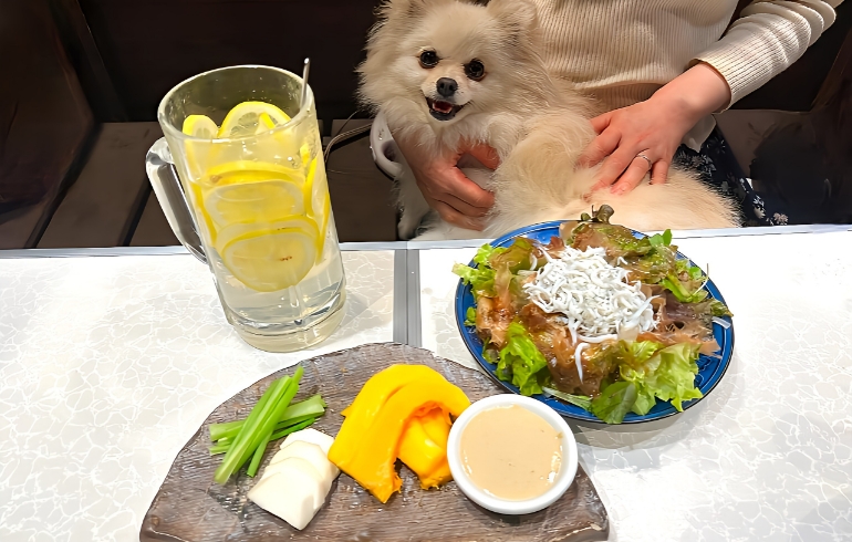 秋野菜1