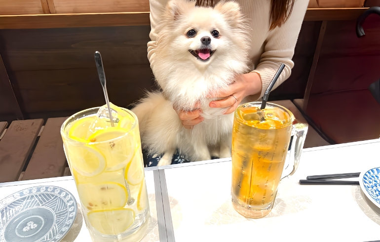 ドリンク