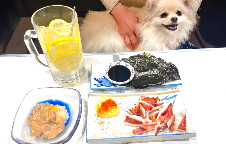 おつまみ系1