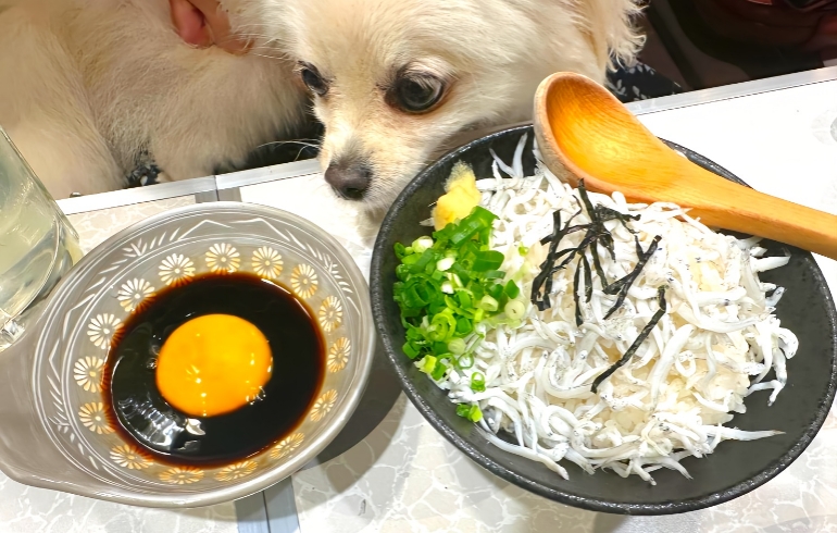 しらす丼