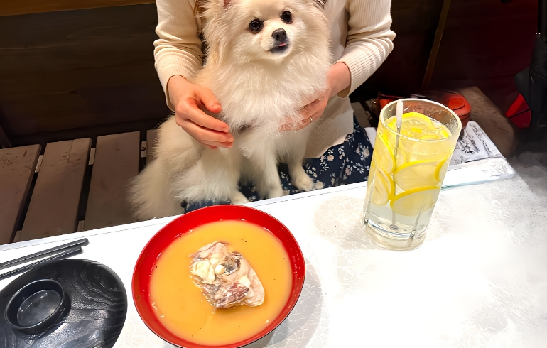 あら汁