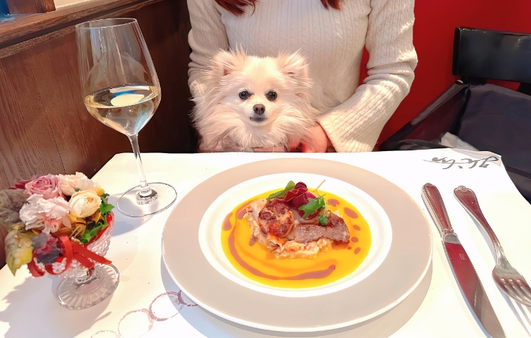 宮崎産のカンパチのソテーとゆめちゃん