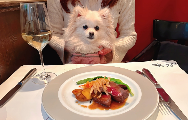 えぞ鹿のモモ肉炙り焼きとゆめちゃん