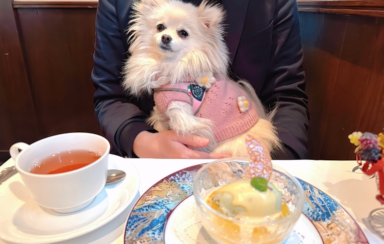 フリコトーのデザートとゆめちゃん