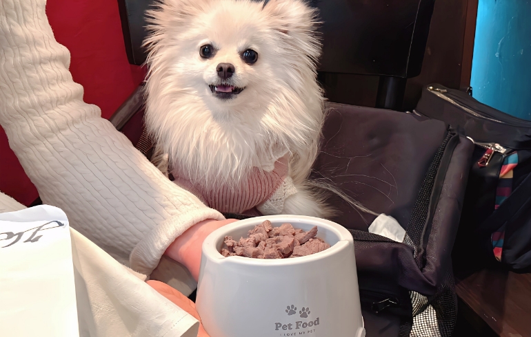 ワンちゃんのご飯（鹿肉）とゆめちゃん