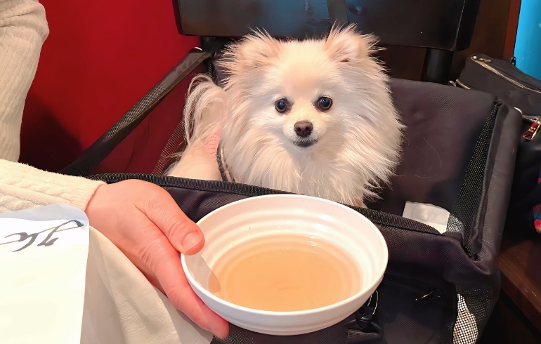 湯がき汁