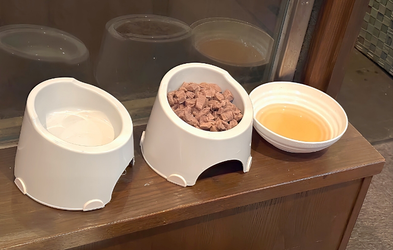 ワンちゃんのご飯（鹿肉）と湯がき汁とお水