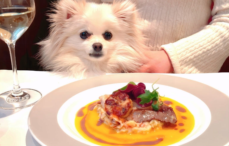 フレンチ料理