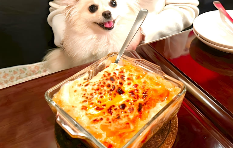 ラザニア