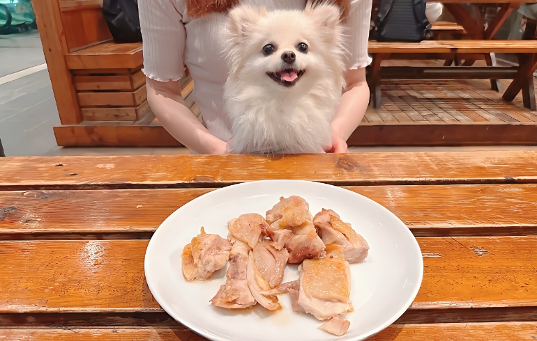 グリルチキン（味付け無し）とゆめちゃん