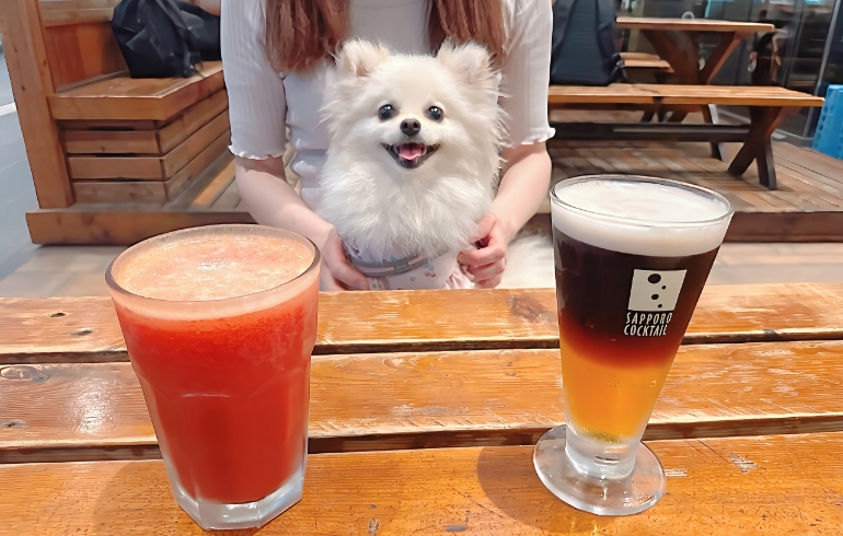 クラフトビールとゆめちゃん