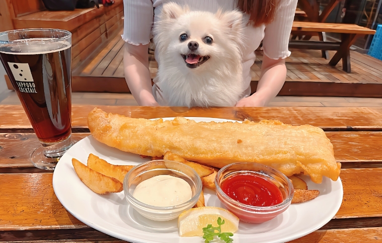 フィッシュ＆チップスとゆめちゃん