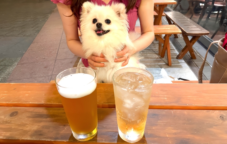 ドイツ直輸入のビール
