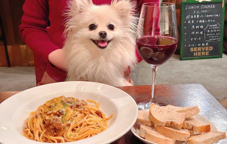 ゆめちゃんとパスタ