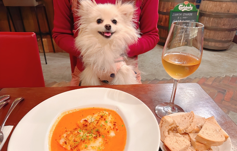 「フレンチバル レ・サンス（FRENCH BAR Les Sens）」のメイン画像です。