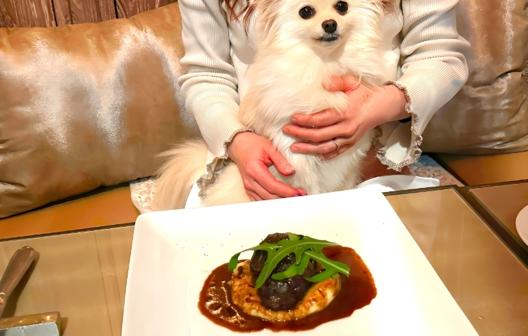 赤ワイン煮込み