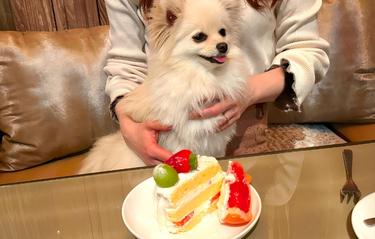 ケーキ