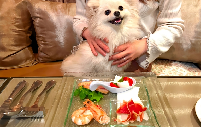 本日のアミューズ、前菜の盛り合わせ