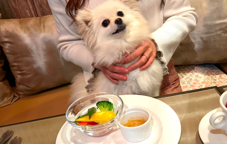 バーニャカウダ