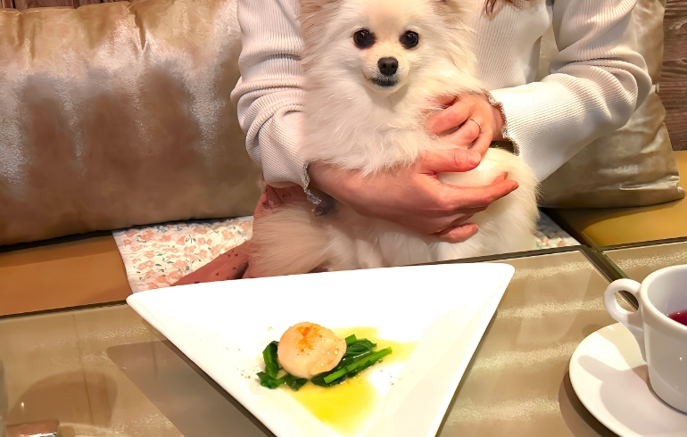 ホタテの貝柱ソテー