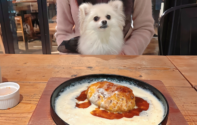 鉄板焼粗挽きチーズハンバーグとゆめちゃん