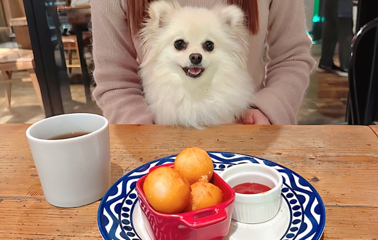 チーズボールとゆめちゃん