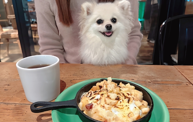 温泉卵とチーズの炙りポテサラとゆめちゃん